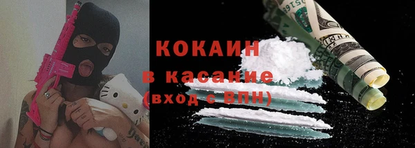 шишки Вяземский