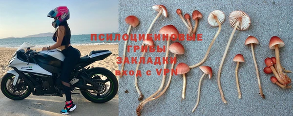 героин Алзамай