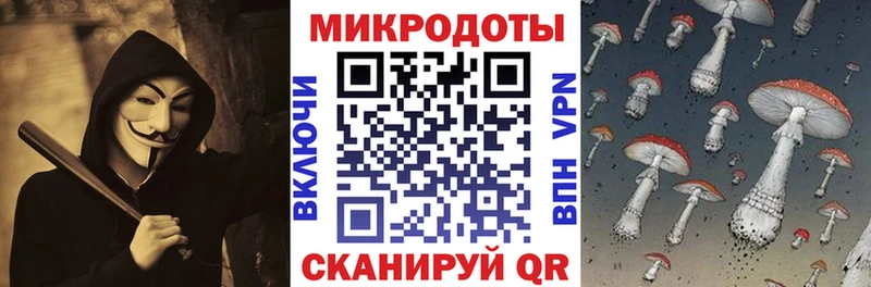 Псилоцибиновые грибы мухоморы  купить наркотик  Кондопога 