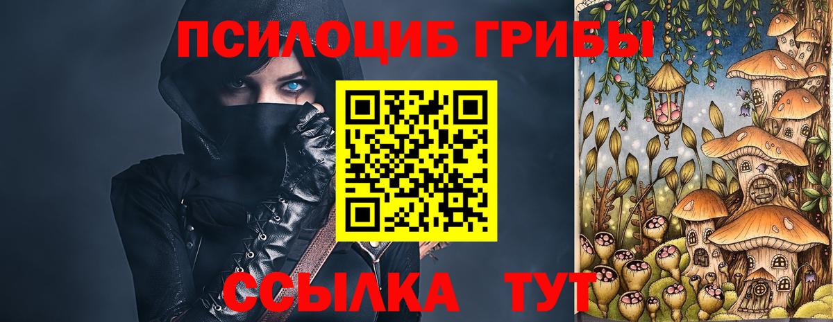 Псилоцибиновые грибы GOLDEN TEACHER Кондопога